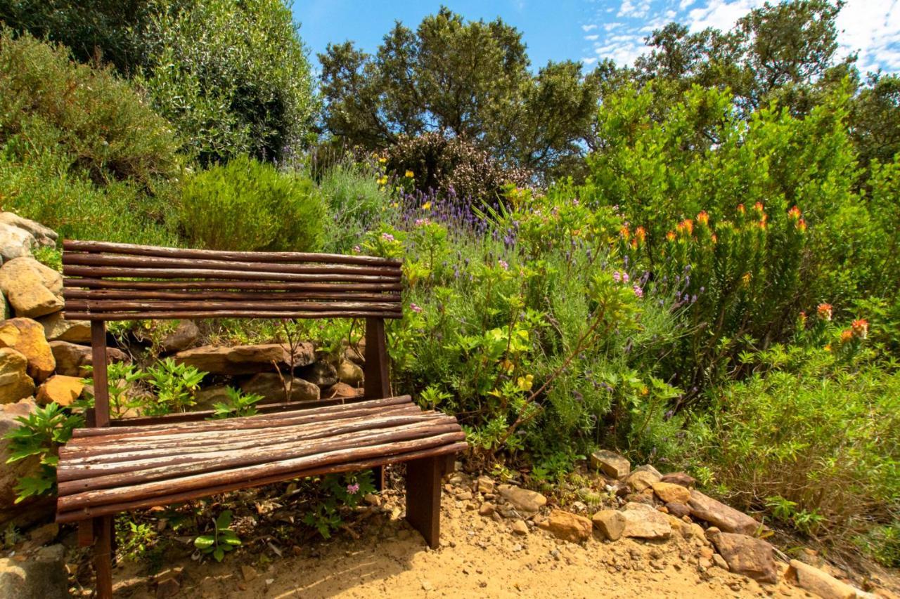 Makapa Lodge Cape Town Bagian luar foto