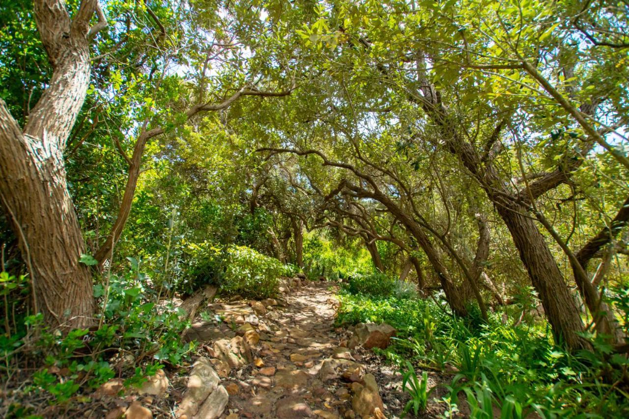 Makapa Lodge Cape Town Bagian luar foto
