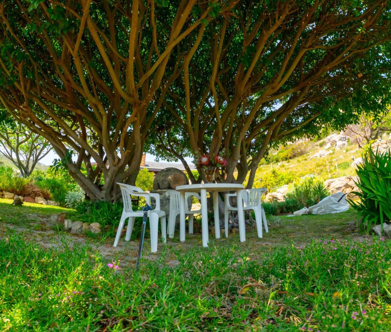 Makapa Lodge Cape Town Bagian luar foto